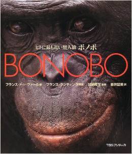 ヒトに最も近い類人猿ボノボ