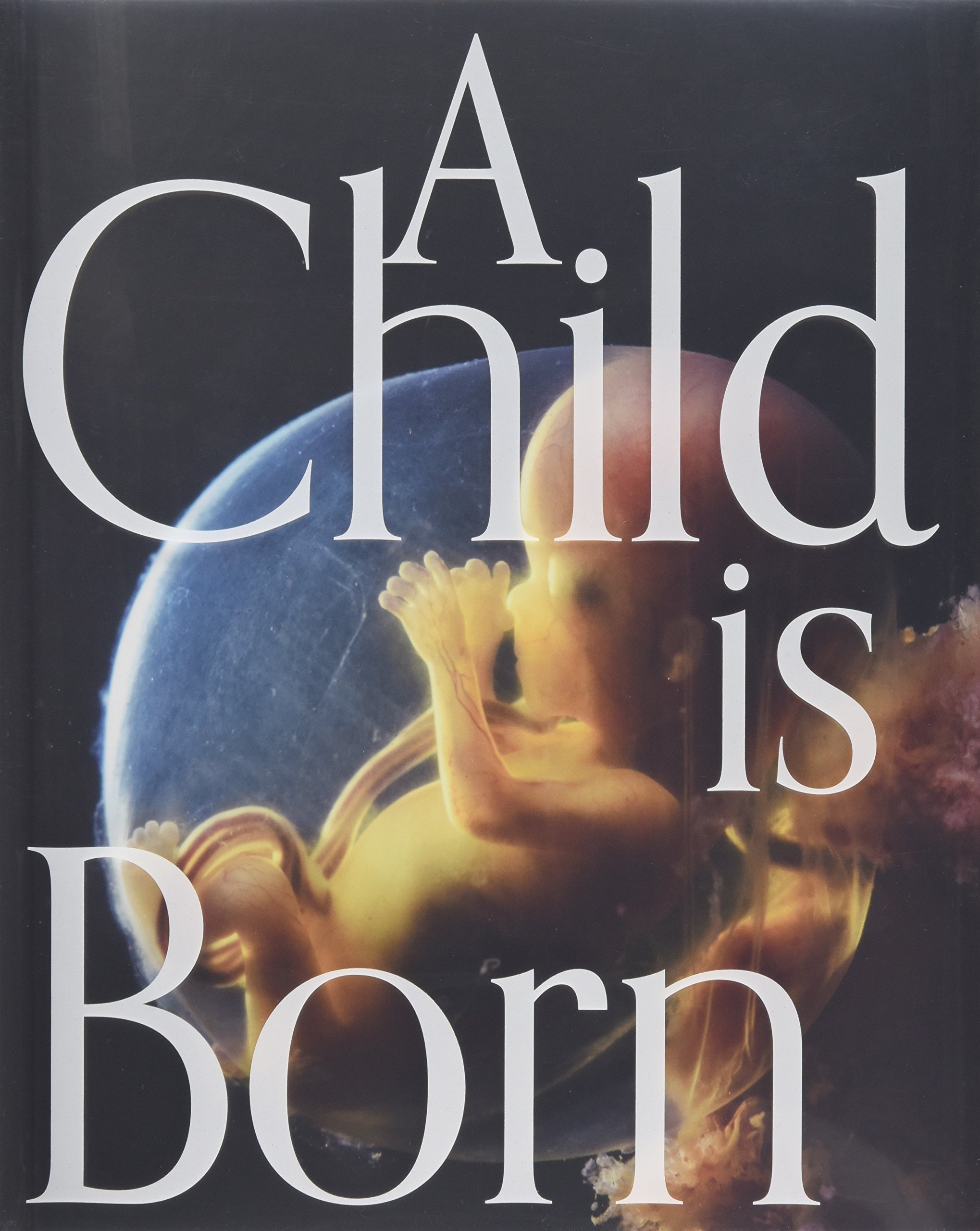 『A Child is Born 赤ちゃんの誕生』