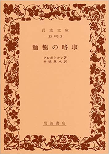 麺麭の略取 (岩波文庫 青 125-3)