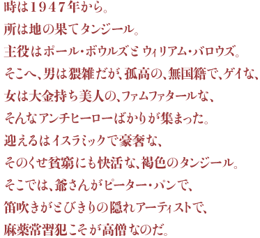 12夜 地の果ての夢 タンジール ミシェル グリーン 松岡正剛の千夜千冊