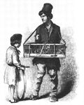 不具の路上鳥売り。ヘンリー・メイヒュー『ロンドンの労働とロンドンの貧民』（1851年）より